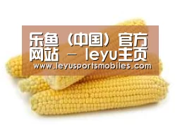 产品名称五