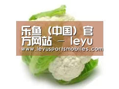 产品名称九