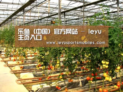 种植基地二