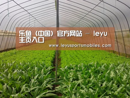 种植基地四