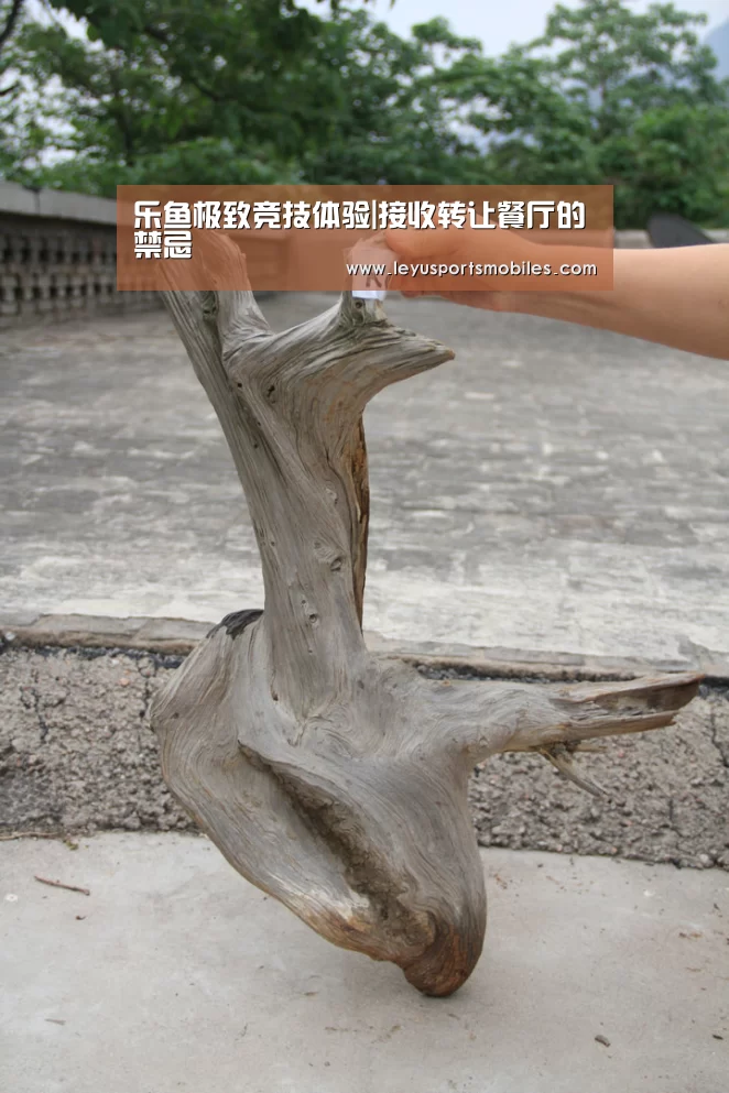 乐鱼体育App下载