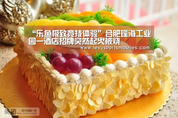 “乐鱼极致竞技体验”合肥瑶海工业园一酒店招牌突然起火被烧(图2) 乐鱼体育App下载
