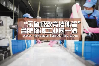 “乐鱼极致竞技体验”合肥瑶海工业园一酒店招牌突然起火被烧(图1) 乐鱼极致竞技体验