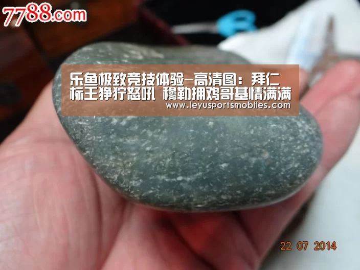 乐鱼极致竞技体验-高清图:拜仁标王狰狞怒吼 穆勒拥鸡哥基情满满(图2) 乐鱼平台最新版本
