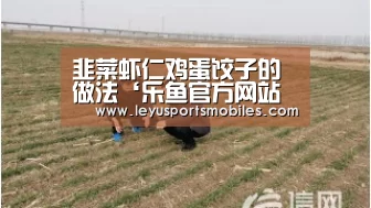 韭菜虾仁鸡蛋饺子的做法‘乐鱼官方网站地址’(图1) 乐鱼体育App下载