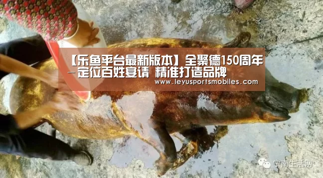 【乐鱼平台最新版本】全聚德150周年-定位百姓宴请 精准打造品牌(图1) 乐鱼极致竞技体验