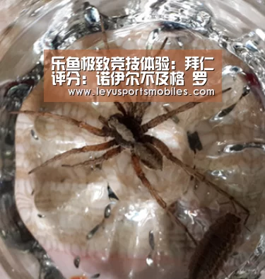 乐鱼极致竞技体验:拜仁评分:诺伊尔不及格 罗本携两新星获最高分(图1) 乐鱼平台最新版本